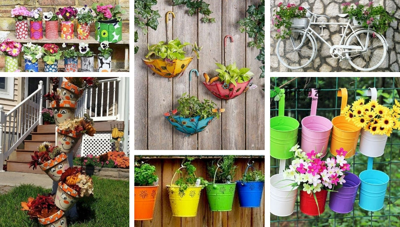 Home & Garden