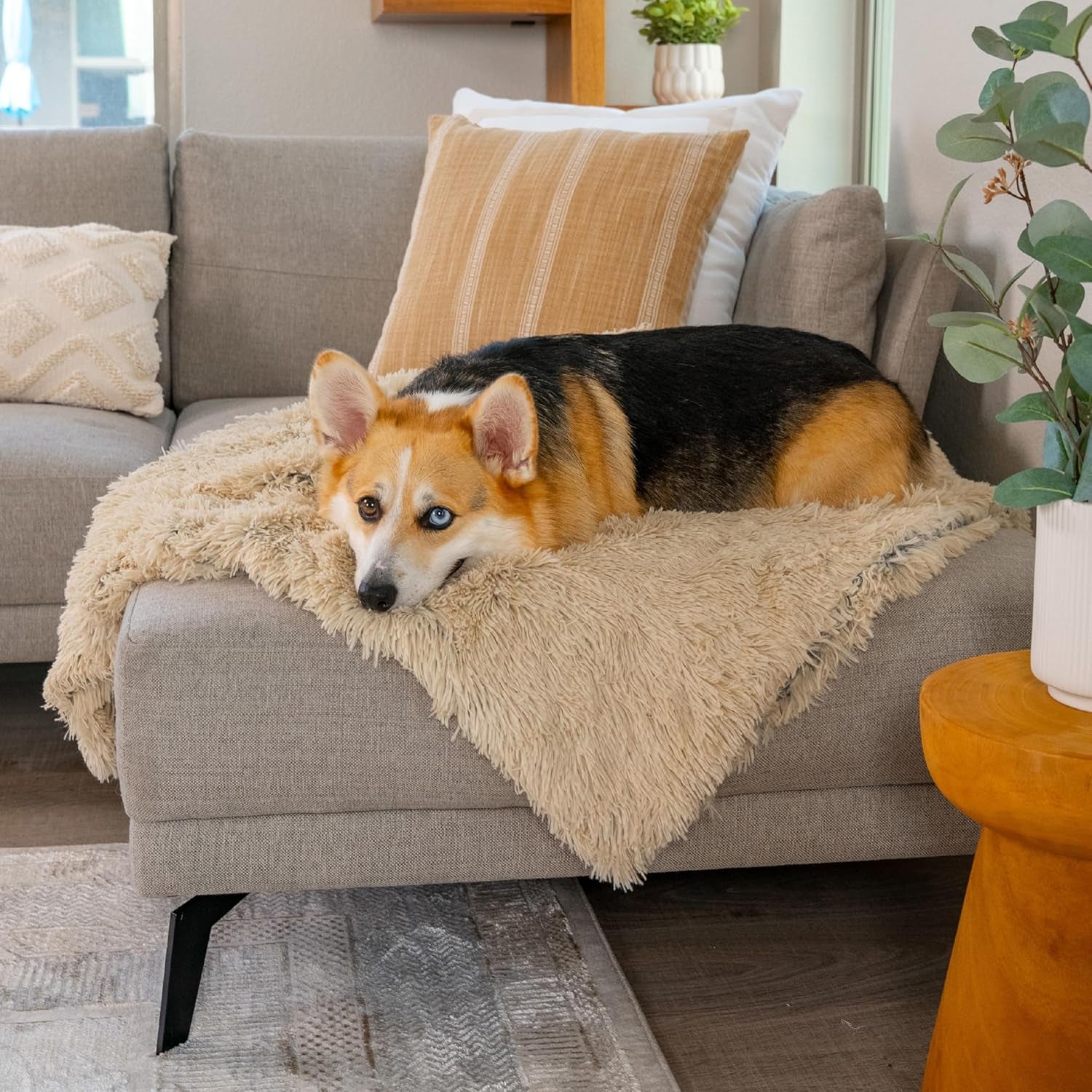 Calming Shag Dog Blanket 30"x40" Taupe