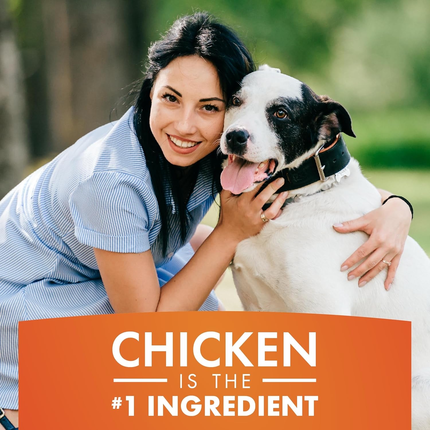 Chicken Jerky Dog Treats 16oz