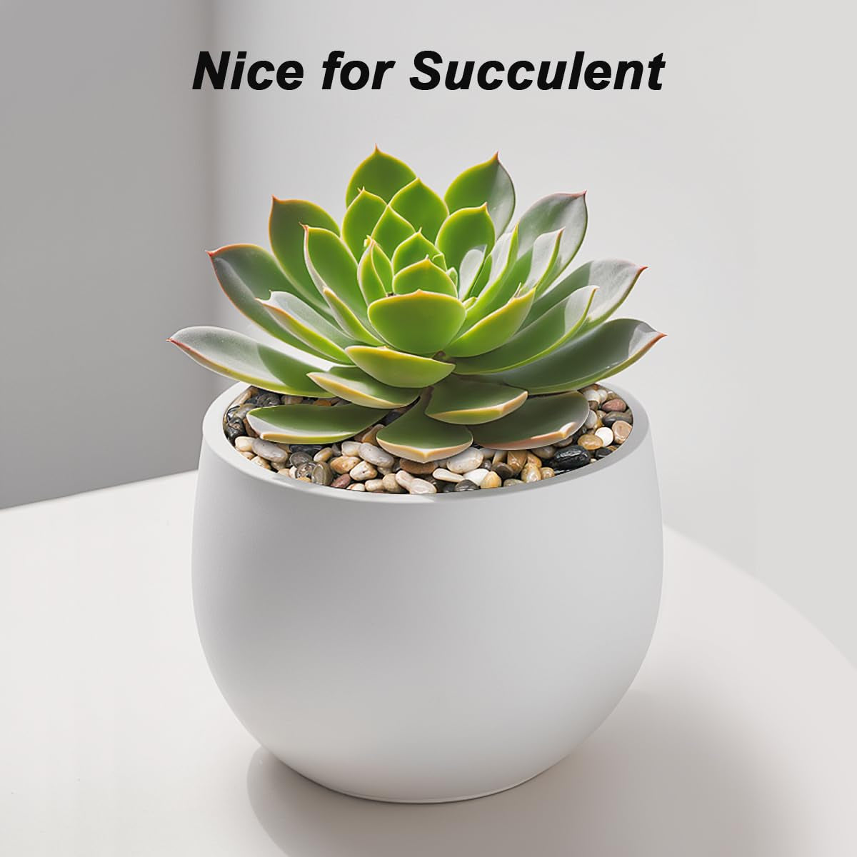 Succulent Rocks, River Rocks, Decorative Ornamental Pebbles Garden Landscaping Stones Gravel Filler for Home Decoration Flower Bed Fish Tank Plants Vases Succulents