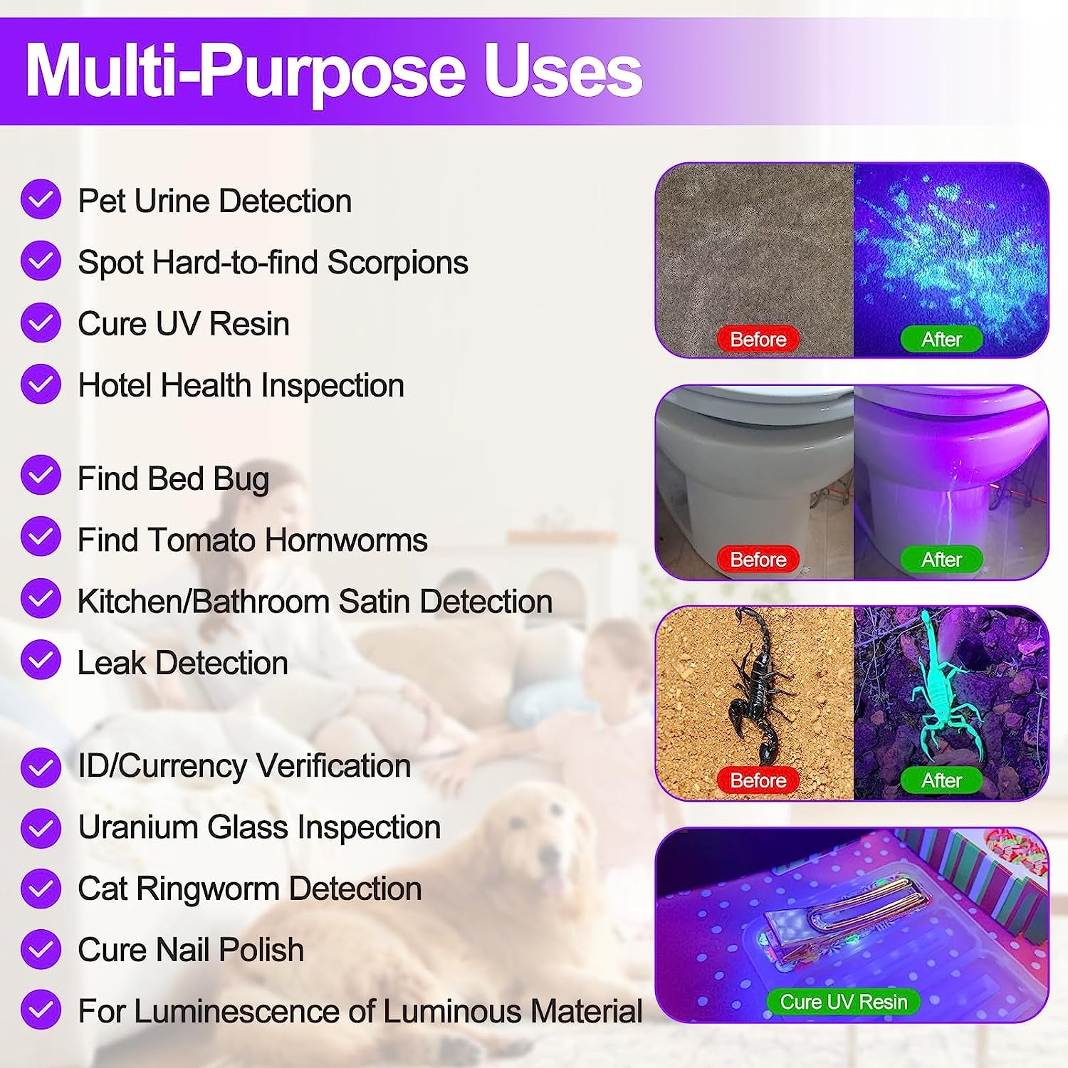 Black Light UV Flashlight Pet Detector