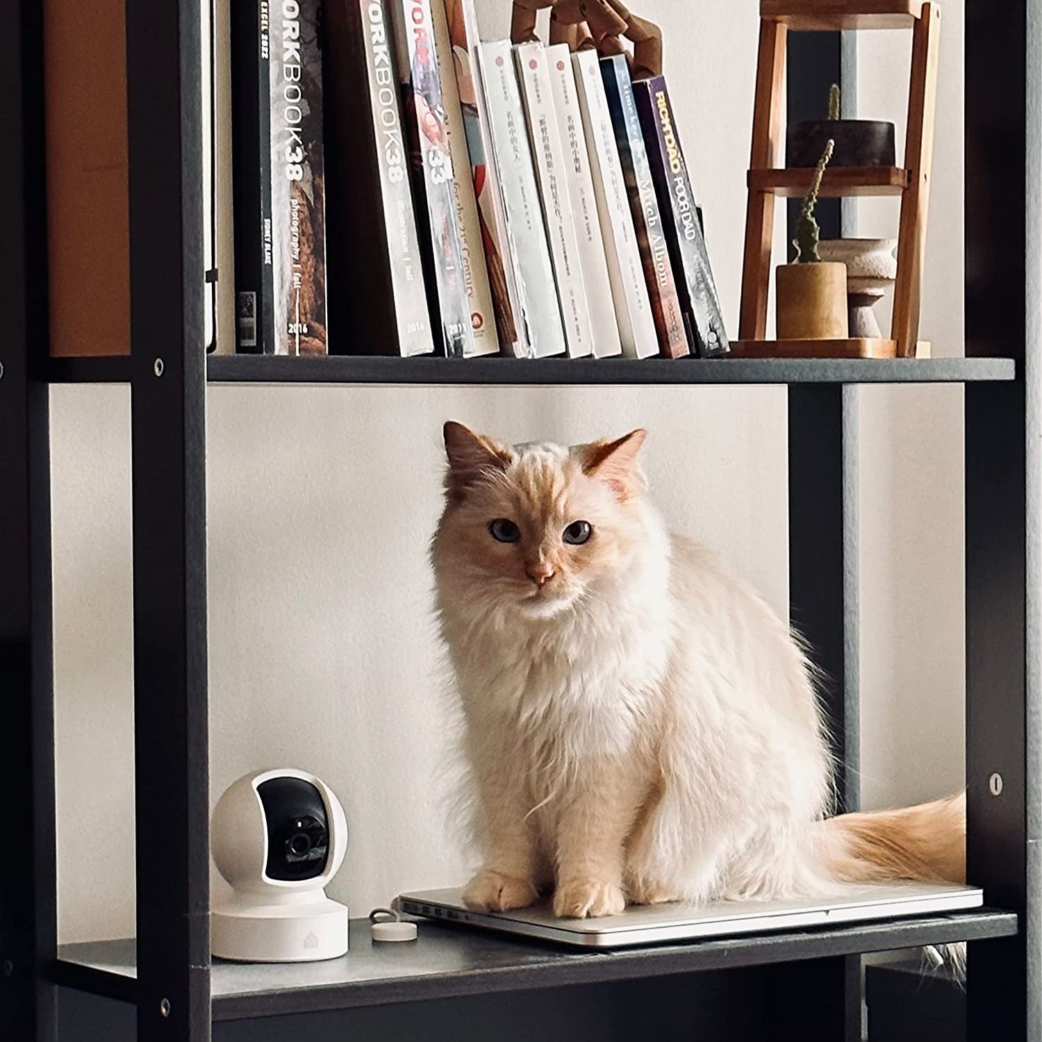 Kasa EC70 Indoor Pan/Tilt Smart Camera