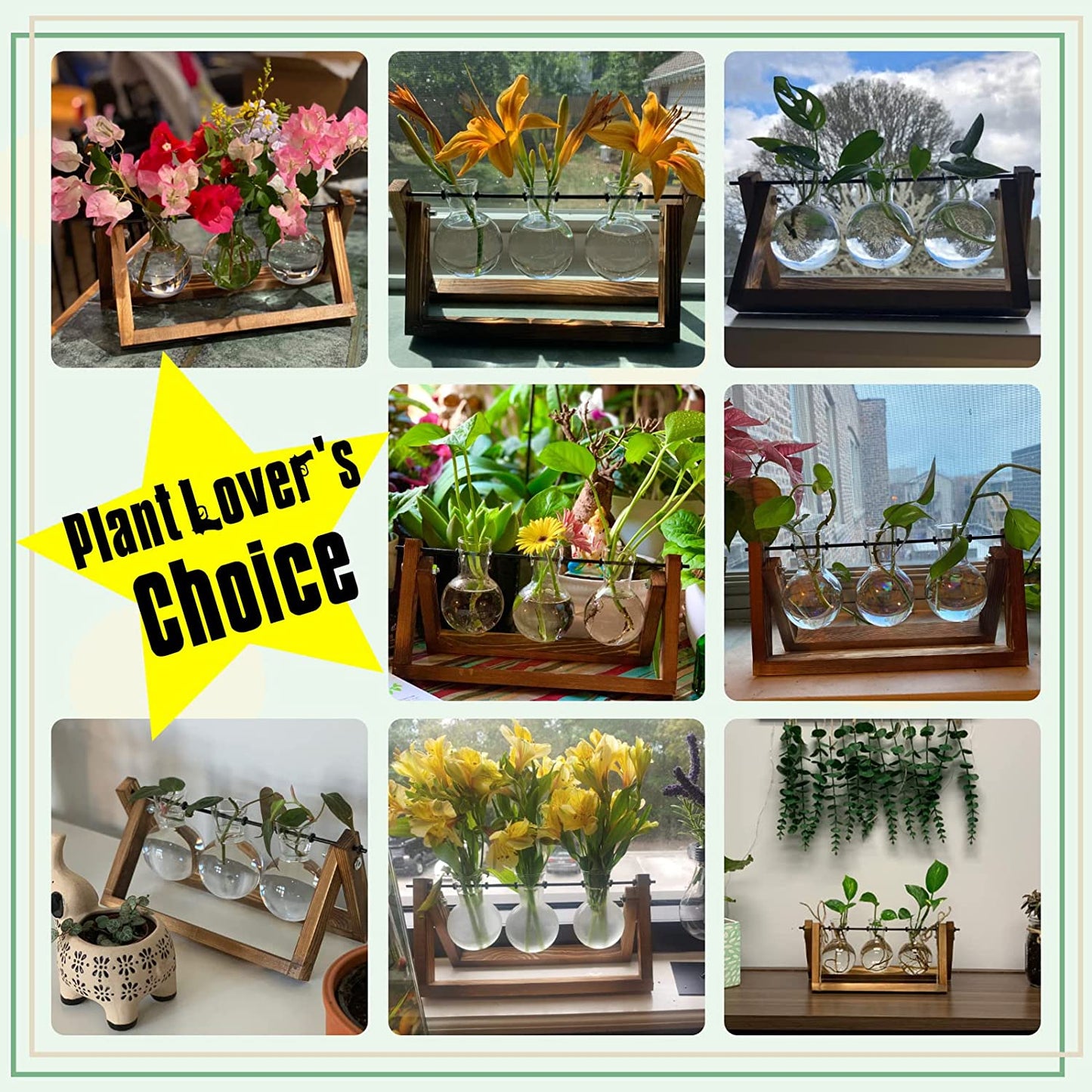 3 Bulb Glass Plant Terrarium with Stand