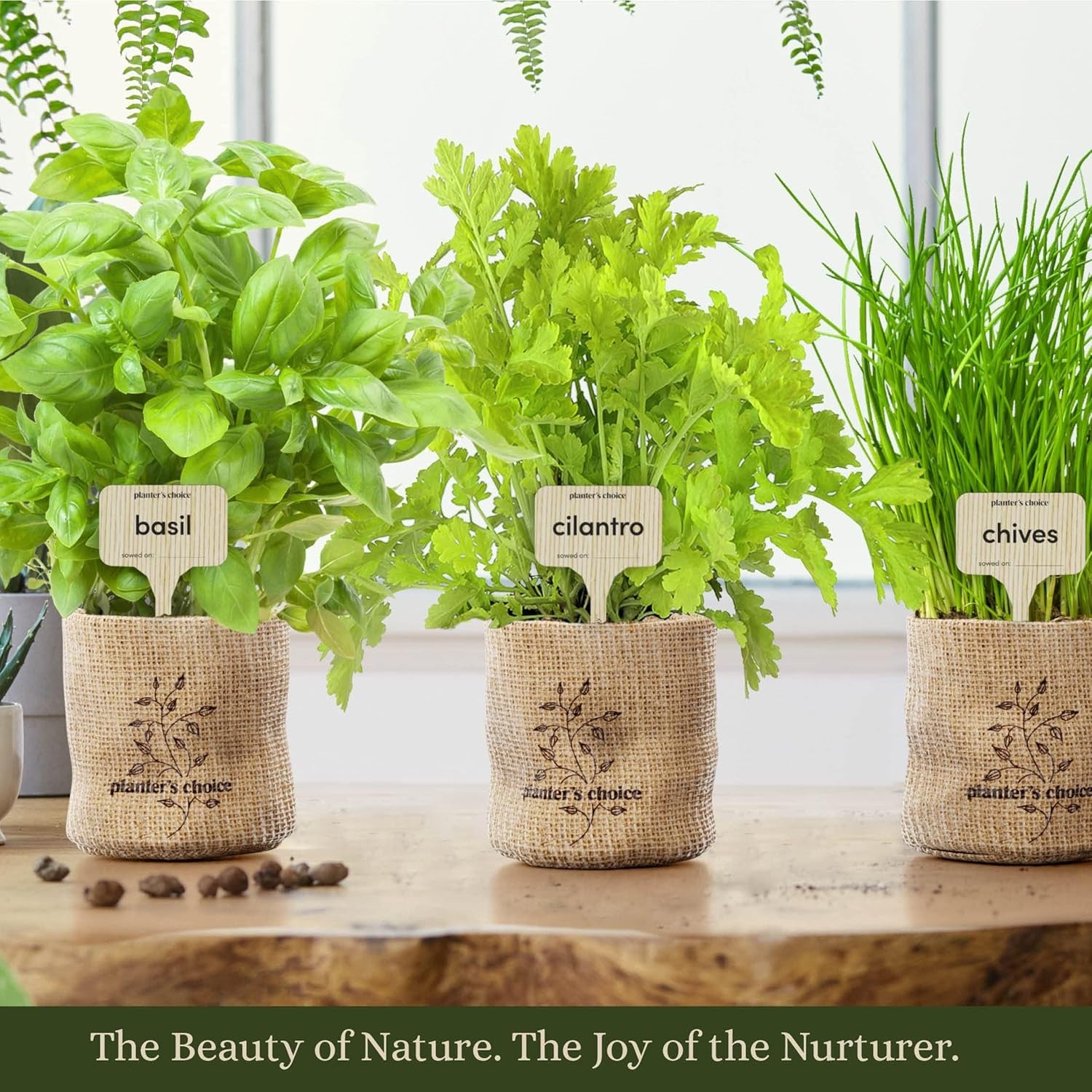 Indoor Herb Garden Starter Kit Gift Set