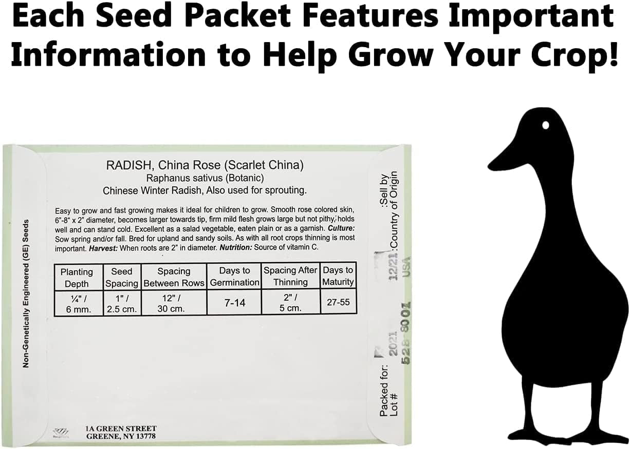 Set of 43 Assorted Vegetable & Herb Seed