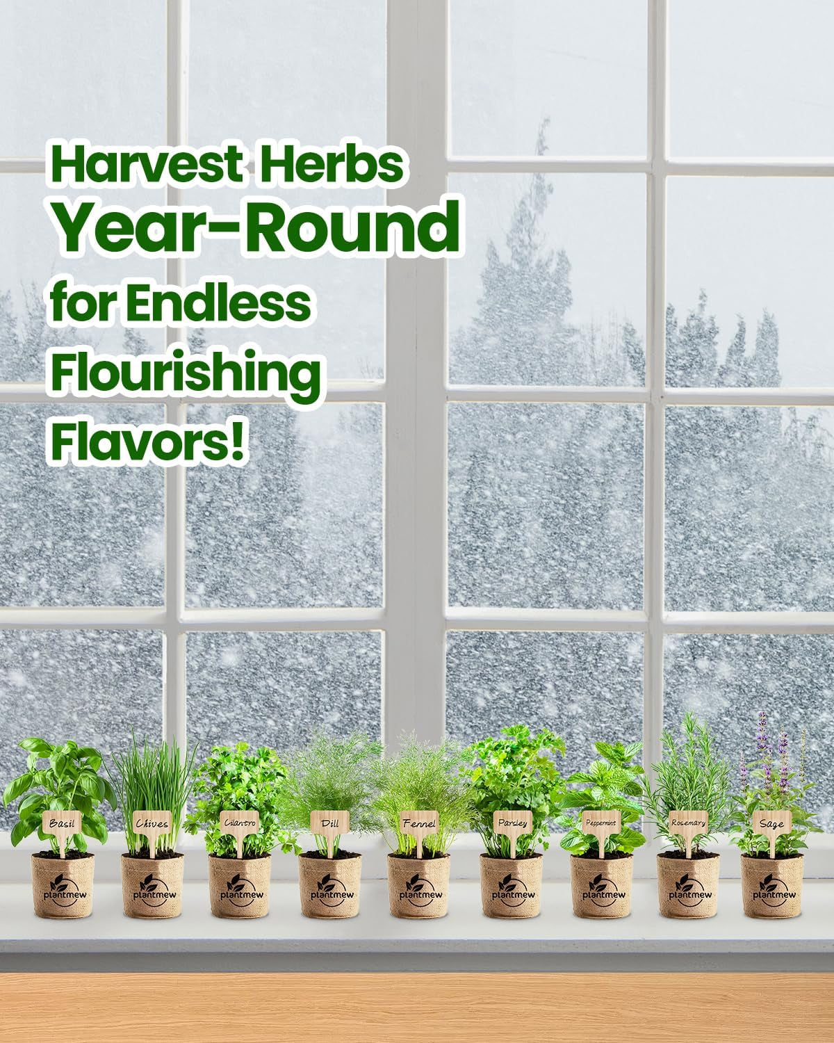 9 Herb Indoor Garden Starter Kit