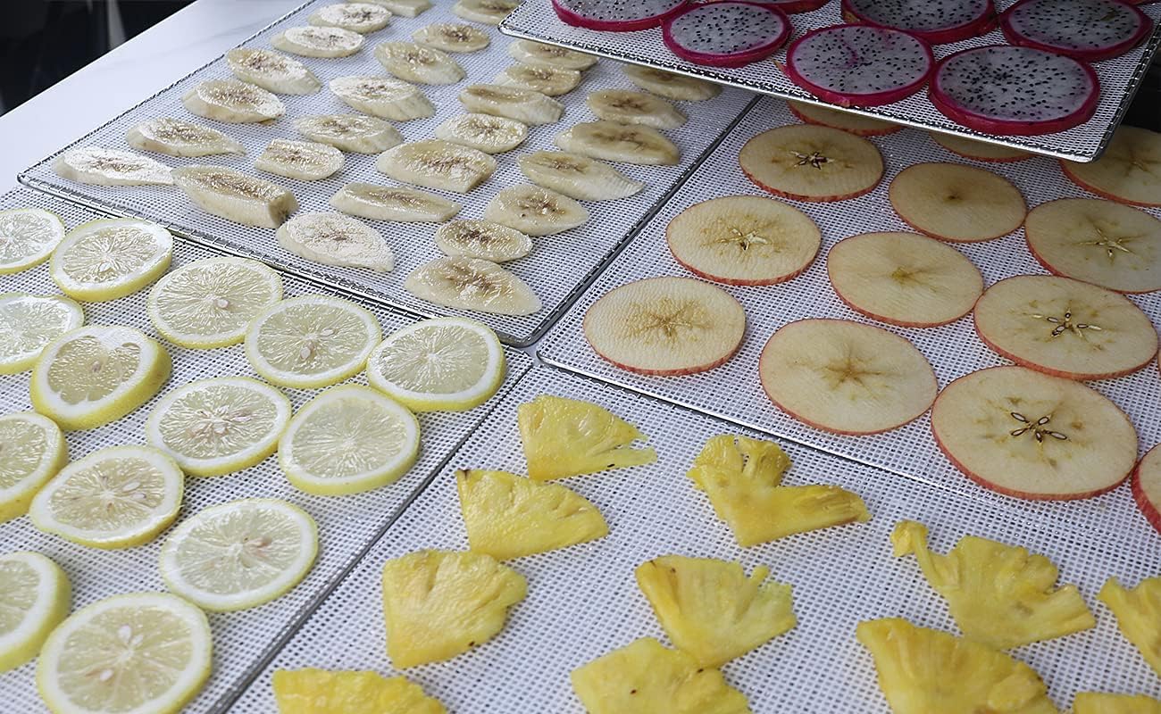 Mesh Silicone Dehydrator Sheets, 10X10 in 10 Pcs/Sets