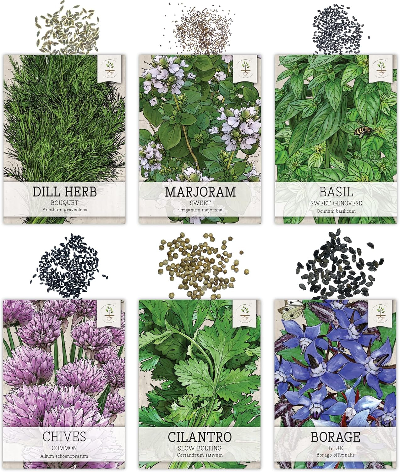 Herb Seeds Variety  12 Heirloom Packets