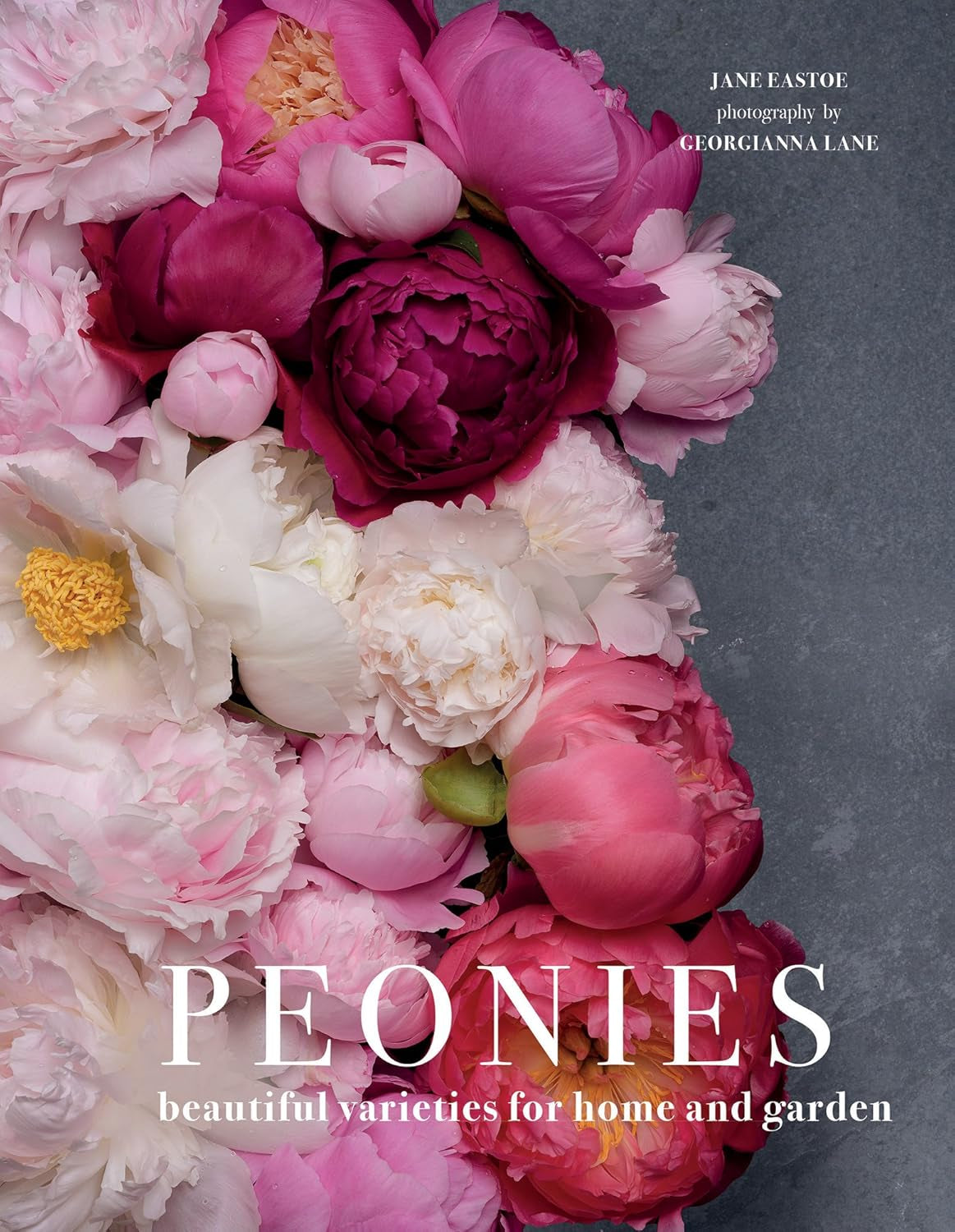 Peonies: Beautiful Varieties for Home