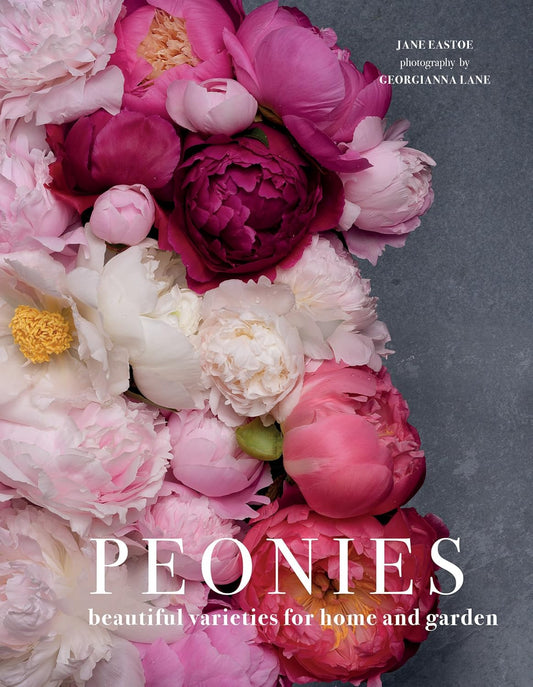 Peonies: Beautiful Varieties for Home