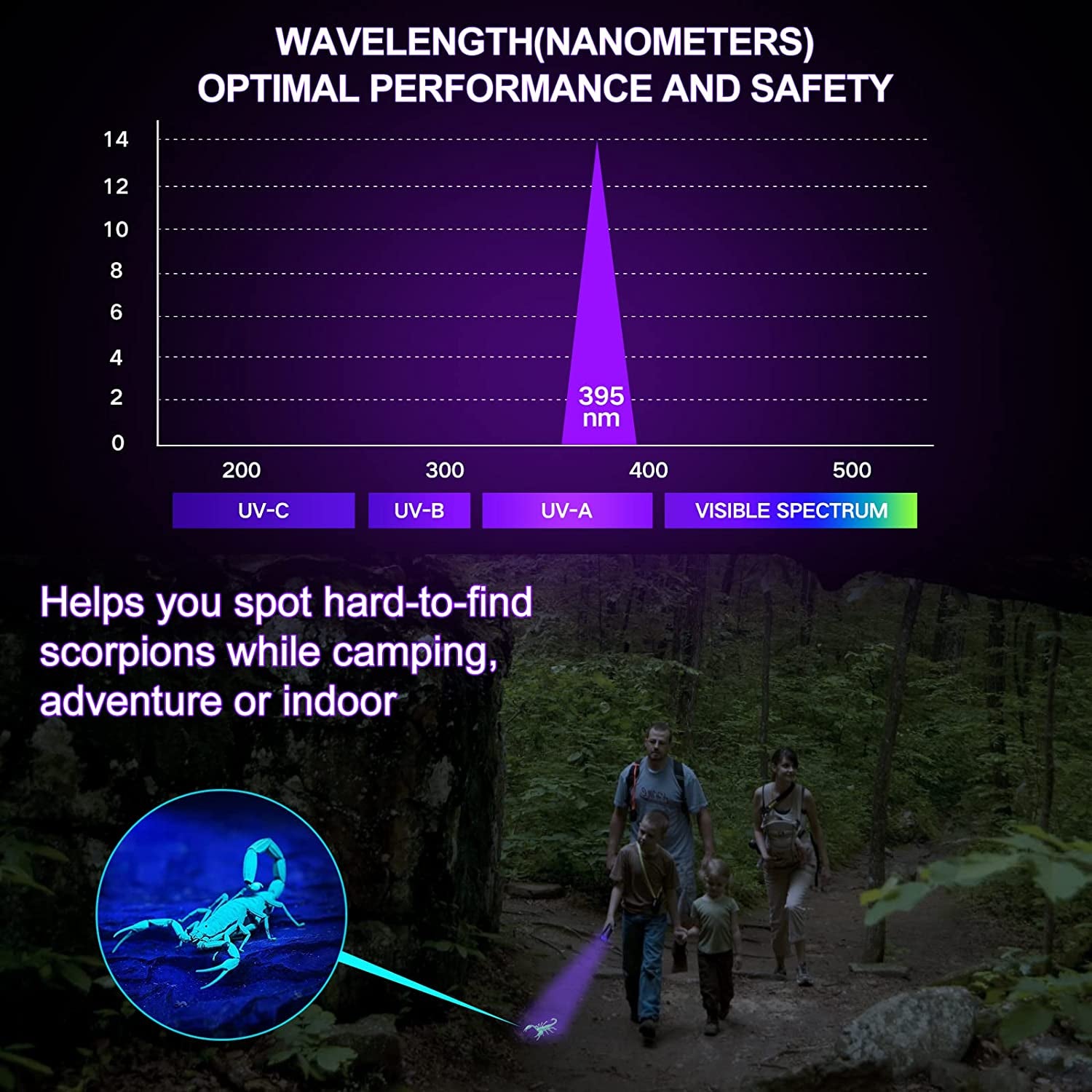 Black Light UV Flashlight Pet Detector