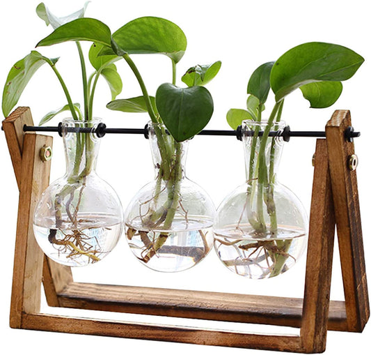 3 Bulb Glass Plant Terrarium with Stand