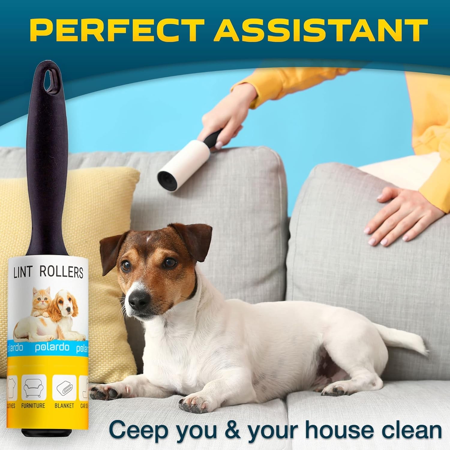 Pet Hair Lint Rollers 5-Pack