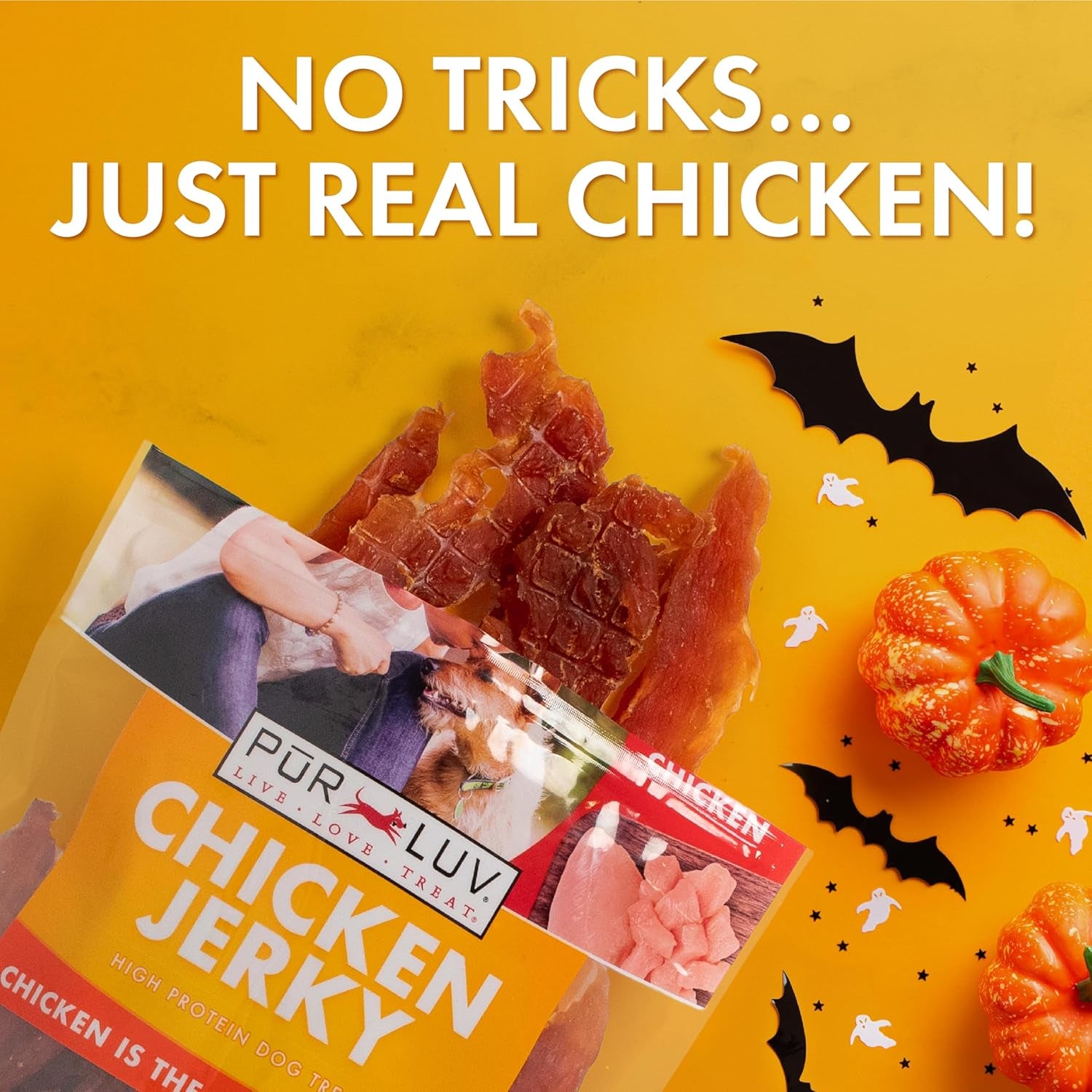 Chicken Jerky Dog Treats 16oz