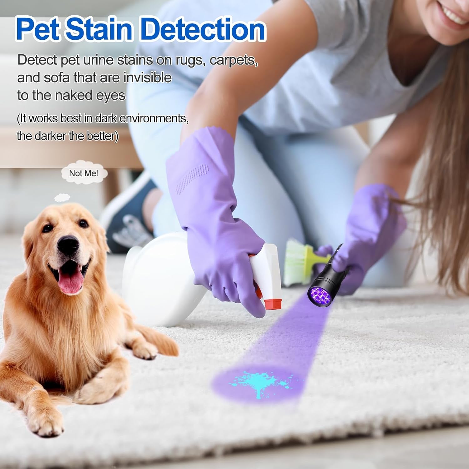 Black Light UV Flashlight Pet Detector