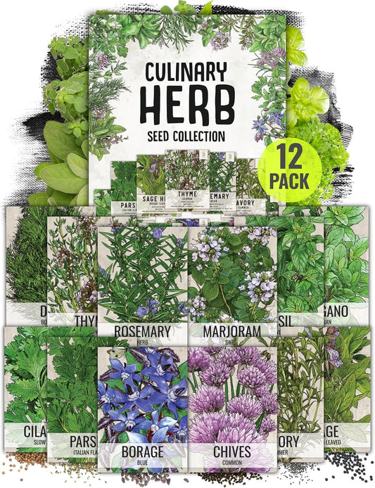 Herb Seeds Variety  12 Heirloom Packets