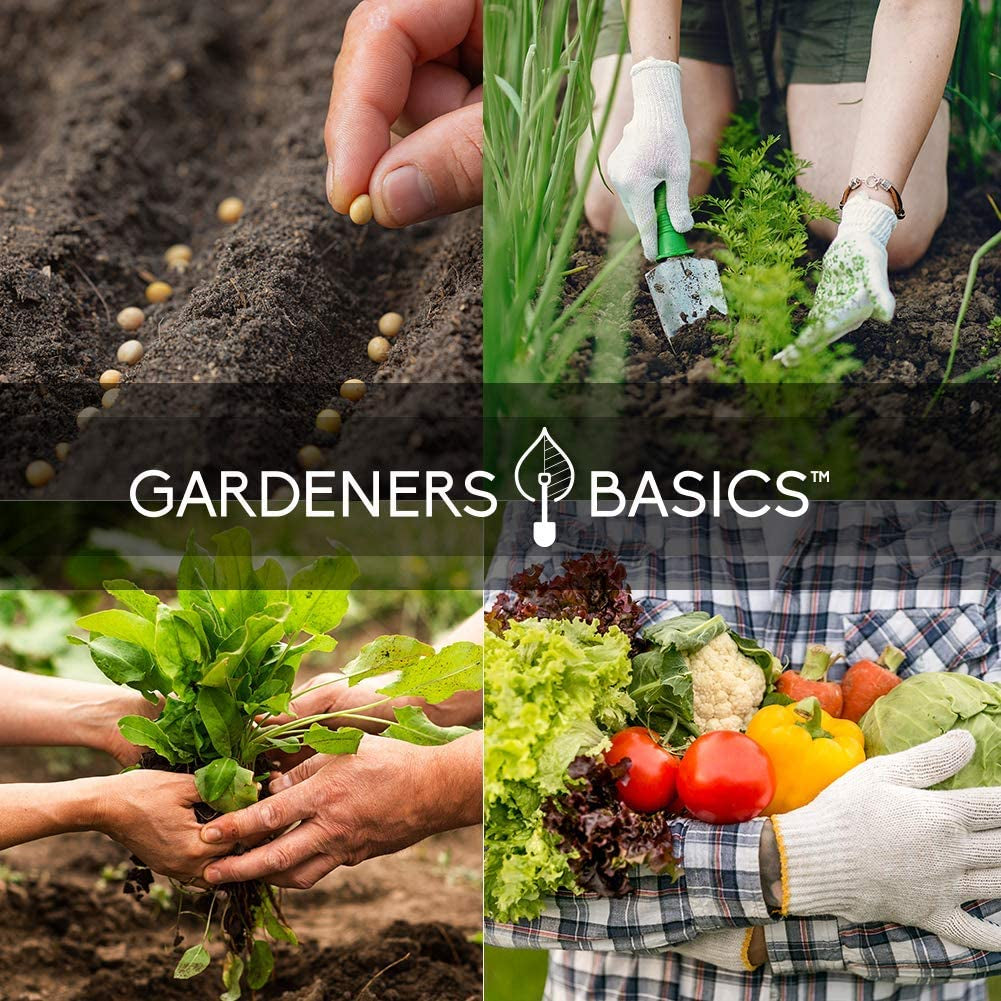 Survival Vegetable Seed Kit 35 Varieties