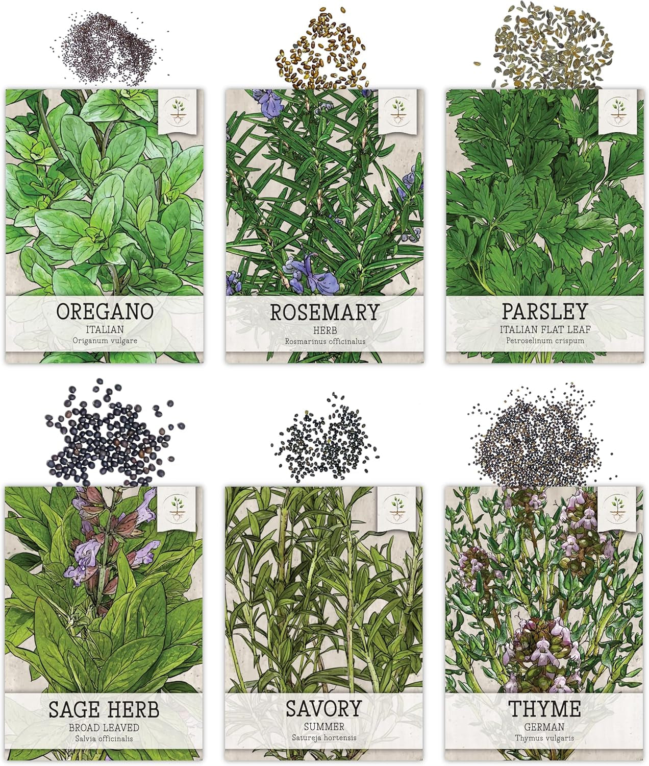 Herb Seeds Variety  12 Heirloom Packets