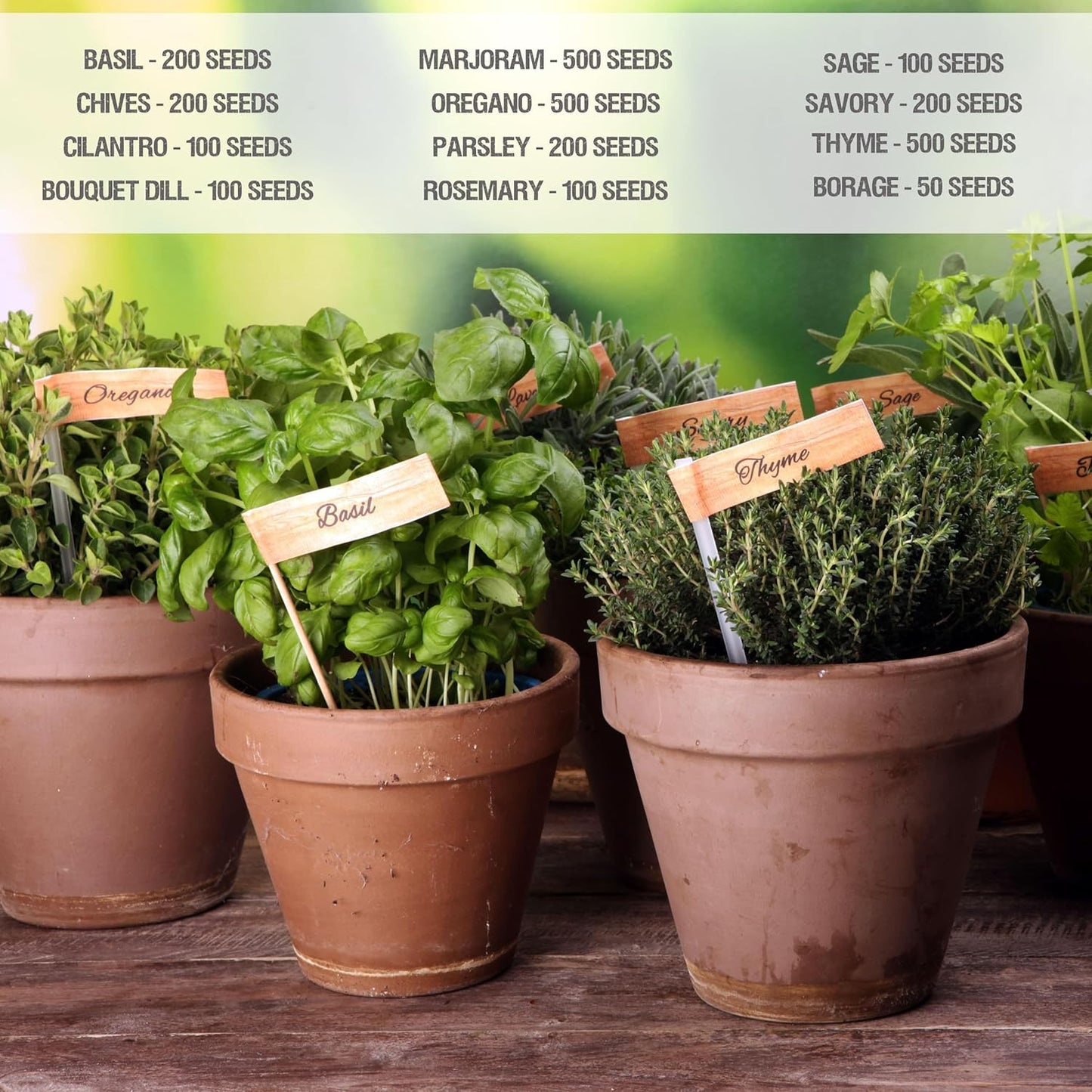 Herb Seeds Variety  12 Heirloom Packets