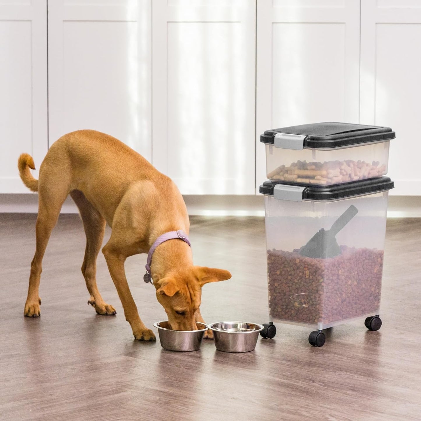 IRIS USA Airtight Pet Food Storage Combo