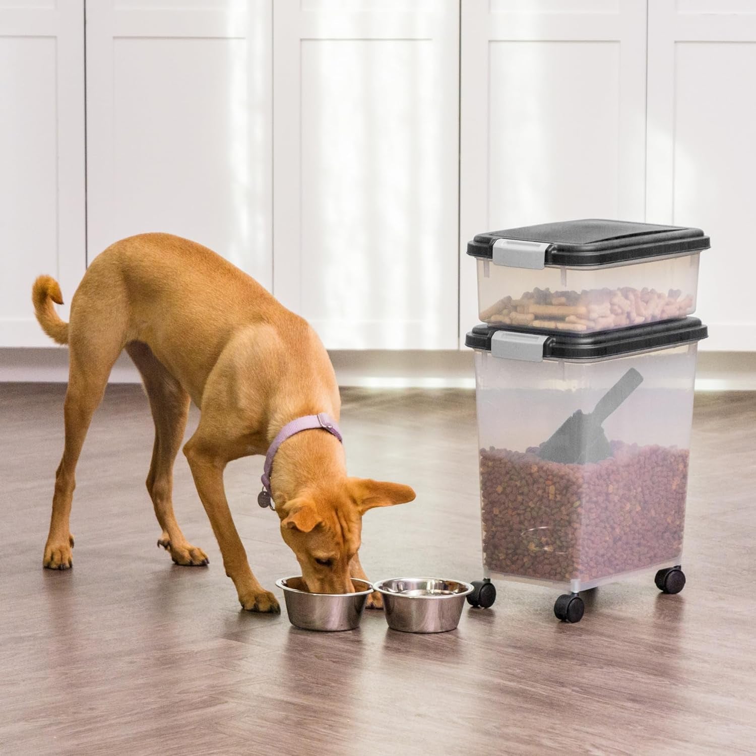 IRIS USA Airtight Pet Food Storage Combo