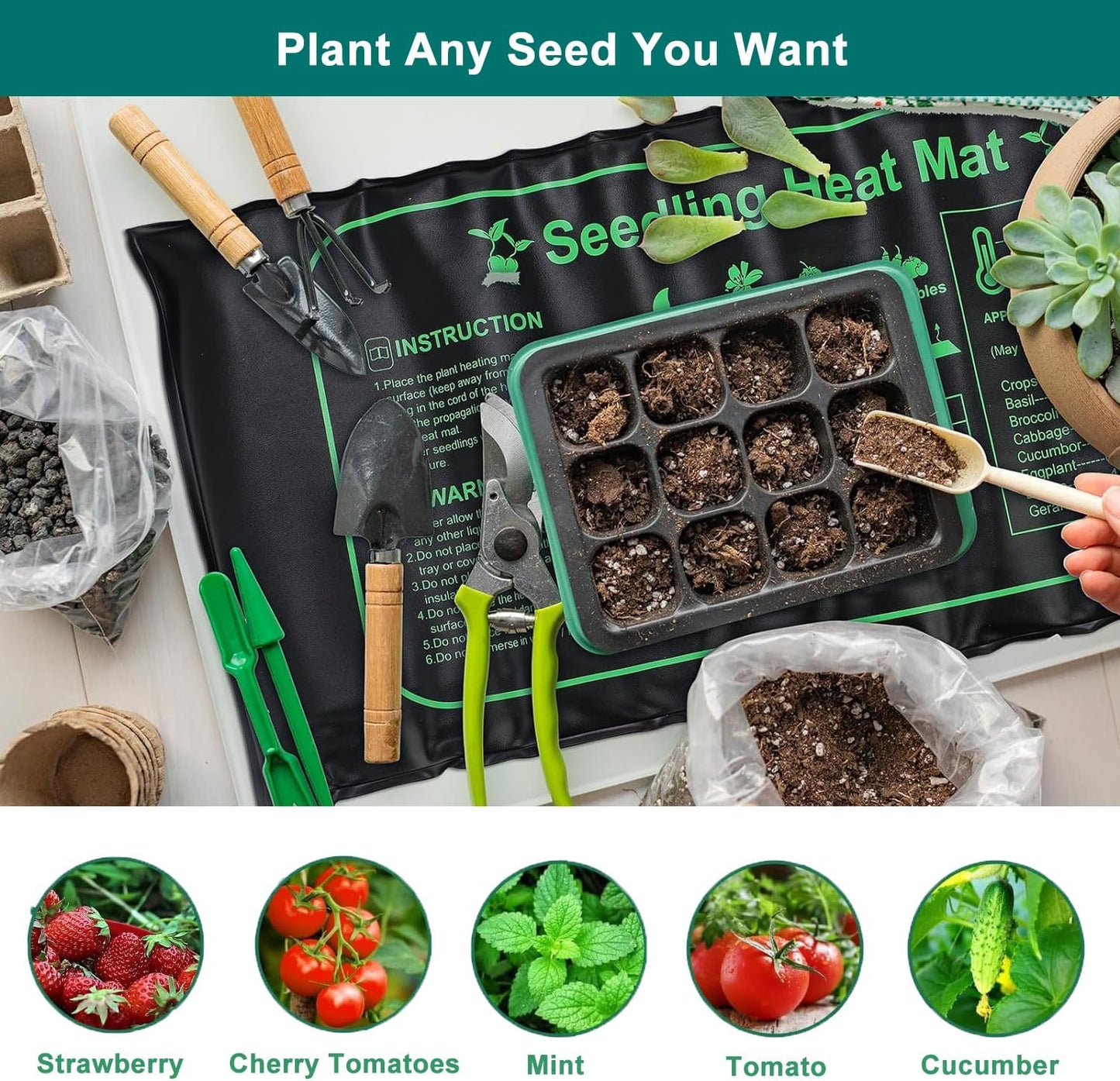 Seed Starter Tray with Heat Mat and Grow Light