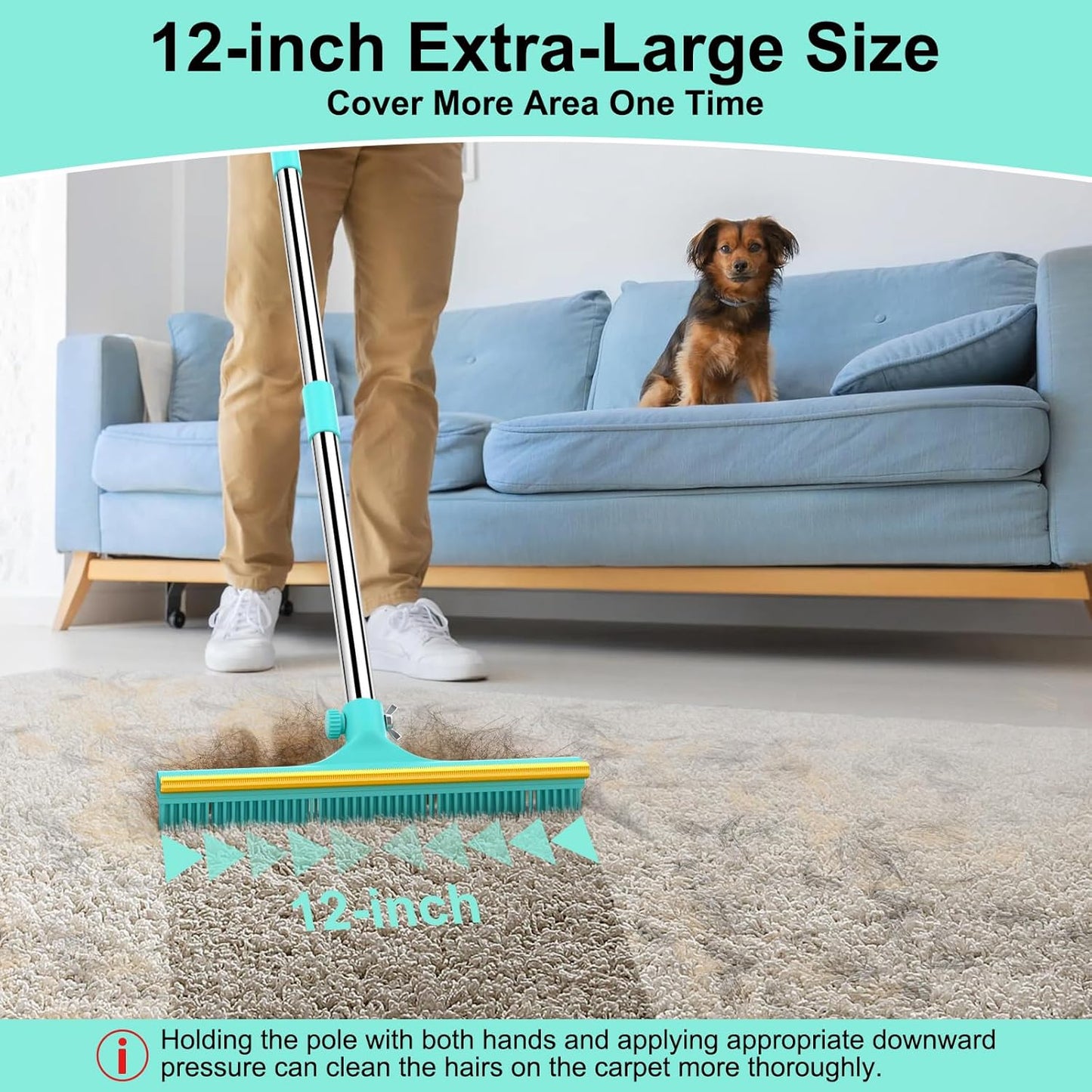 Carpet Rake for Pet Hair Removal