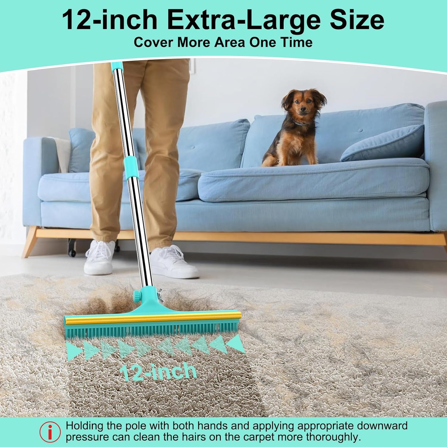 Carpet Rake for Pet Hair Removal