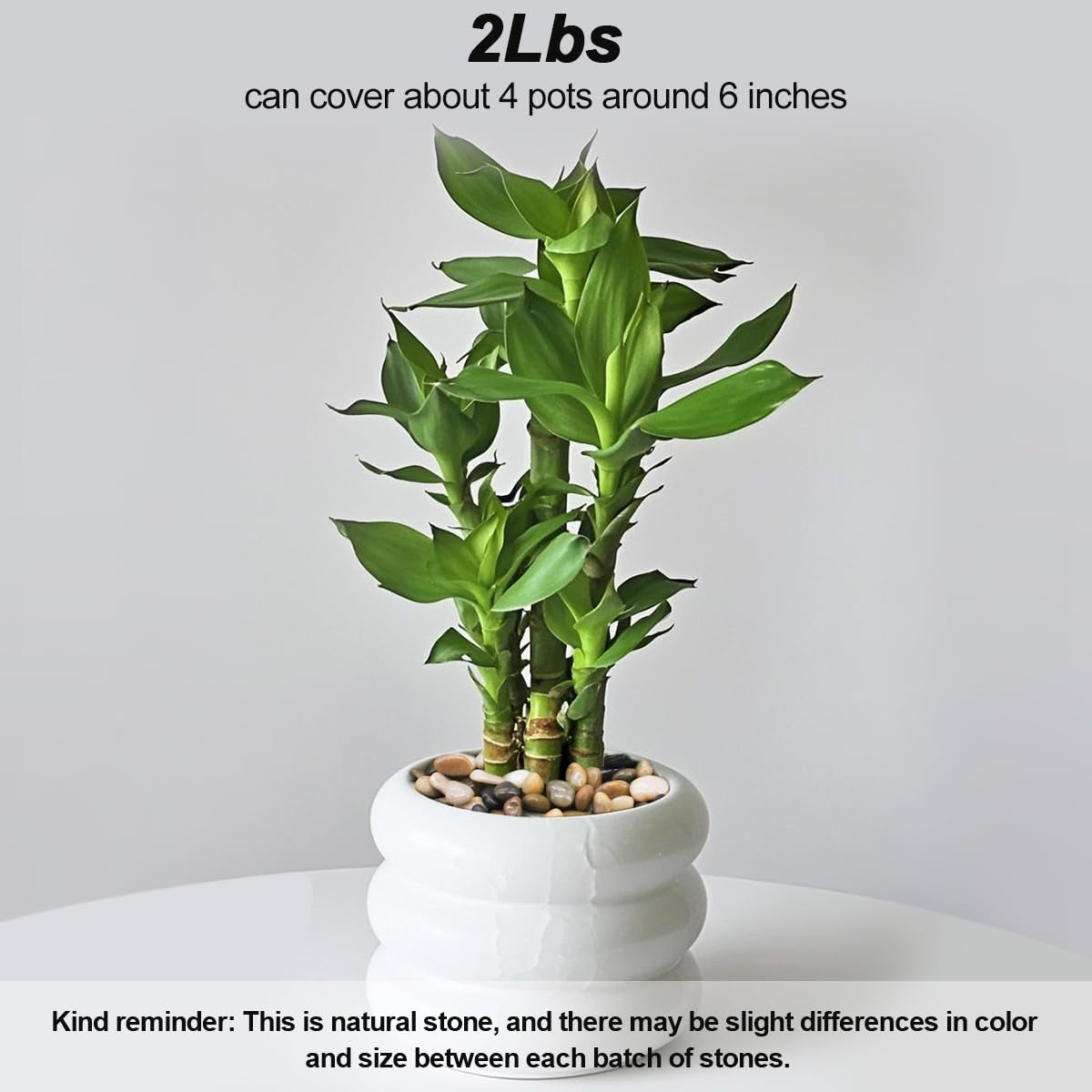 Succulent Rocks, River Rocks, Decorative Ornamental Pebbles Garden Landscaping Stones Gravel Filler for Home Decoration Flower Bed Fish Tank Plants Vases Succulents