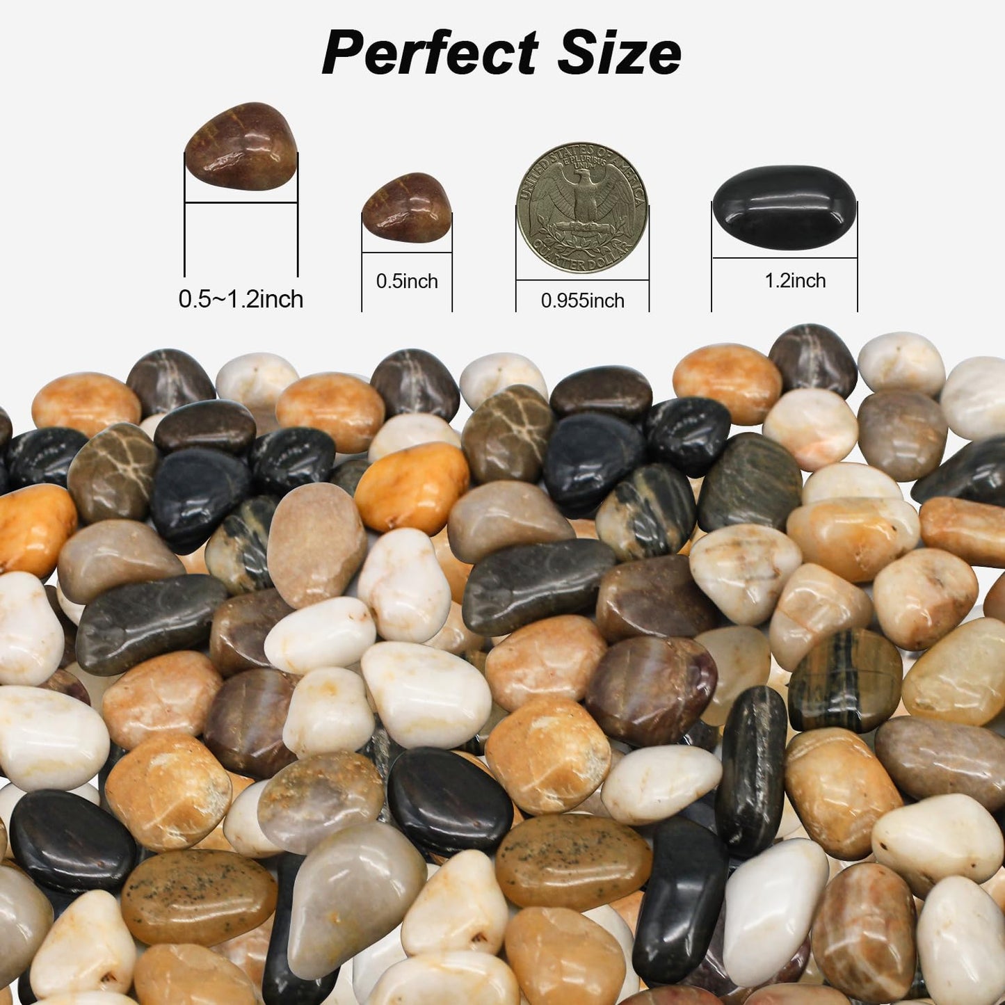 Succulent Rocks, River Rocks, Decorative Ornamental Pebbles Garden Landscaping Stones Gravel Filler for Home Decoration Flower Bed Fish Tank Plants Vases Succulents