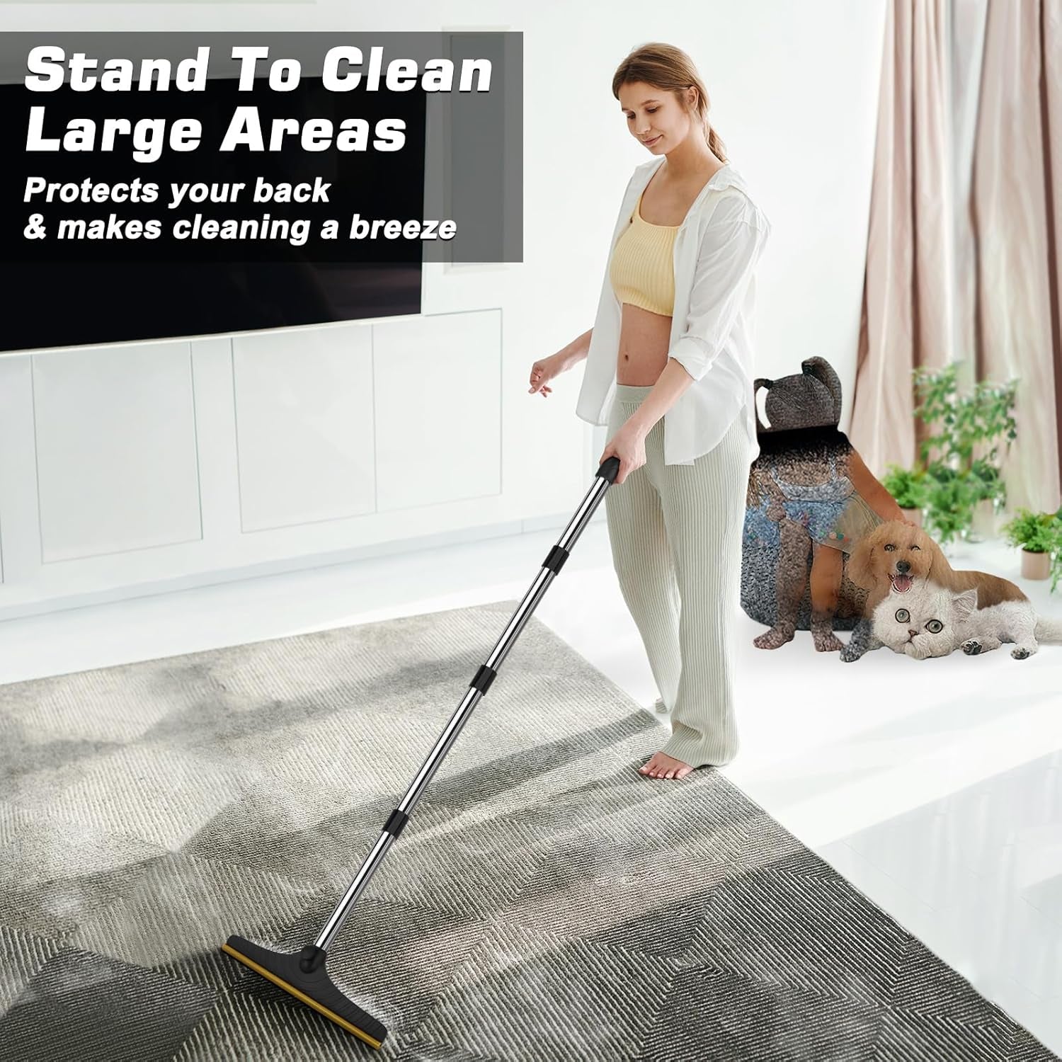 Carpet Rake for Pet Hair Removal, Reusable Pet Hair Remover