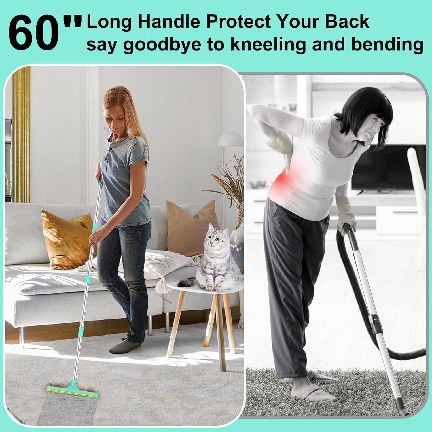 Carpet Rake for Pet Hair Removal