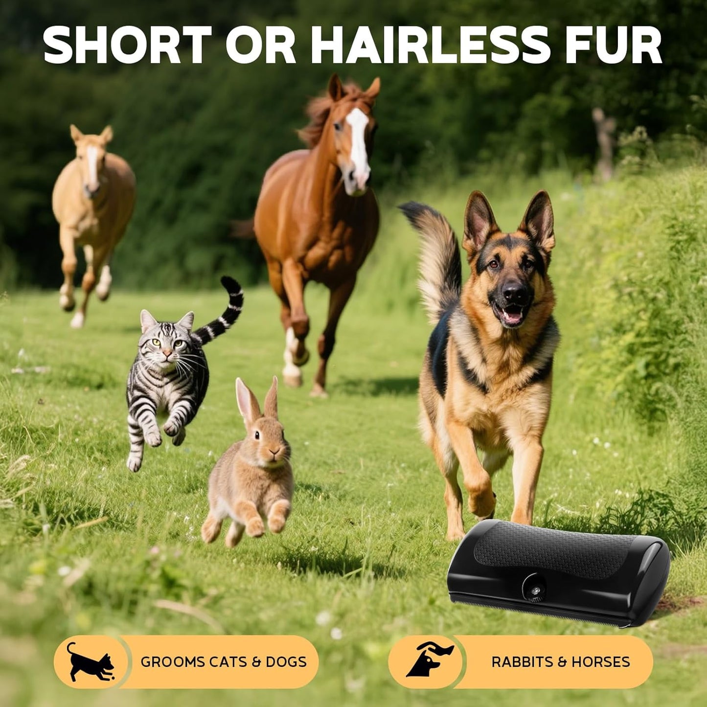 Deshedding Dog Brush & Pet Hair Remover Comb