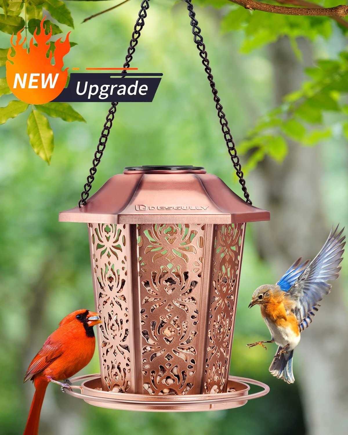 Solar Bird Feeders for Outdoors Hanging 