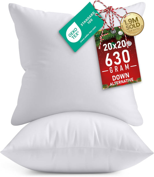 Throw Pillows Insert (Pack of 2, White) - 20 X 20 Inches Bed and Couch Pillows - Indoor Decorative Pillow